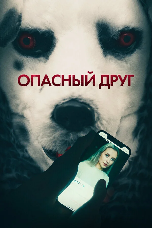 Опасный друг постер